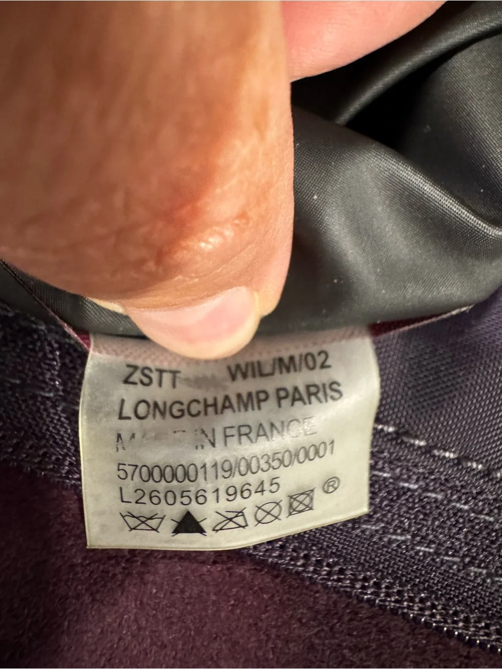Longchamp Tote Bag LONGCHAMP Le Pliage Bilberry Purple EUC